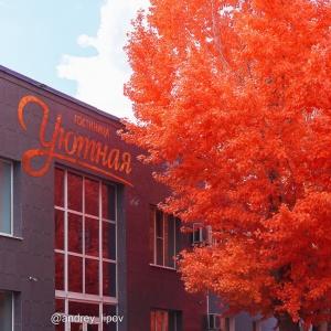 Hotel Uyutnaya