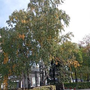 Hotel Novokuznetskaya