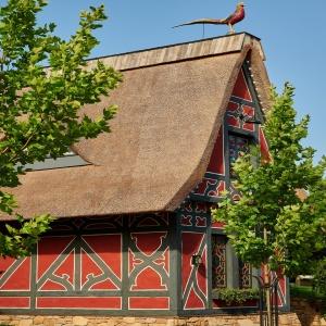 Hotel Old House Resort and Spa