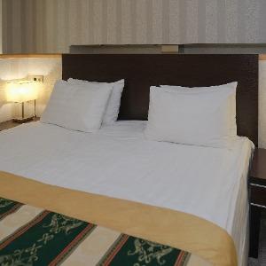 Hotel Pioner-Luxe
