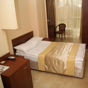 Hotel Pioner-Luxe