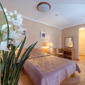 Hotel New