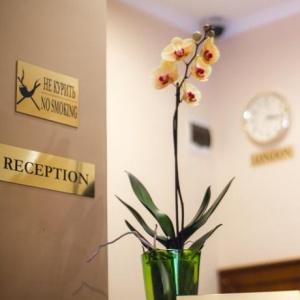 Hotel Vintage