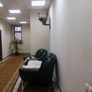 Гостиница Европа