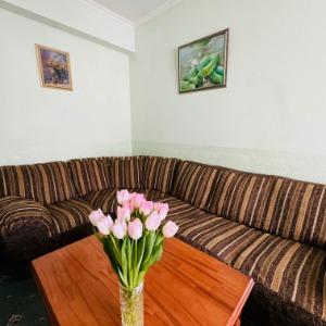 Hotel Vershina