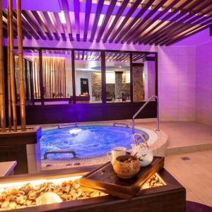 Hotel Orion