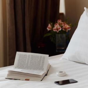 Hotel Orion