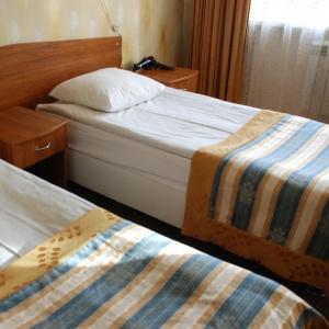Hotel Desna