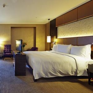 Hotel Hilton Baku