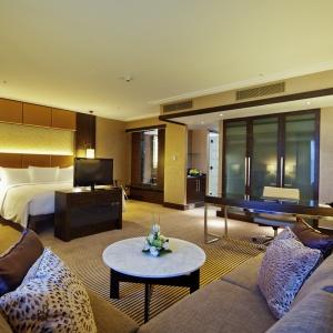 Hotel Hilton Baku