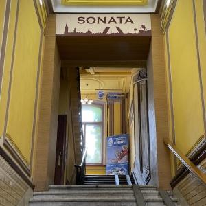 Accomodation facility Sonata Nevskiy 11 Palace Square Guest House