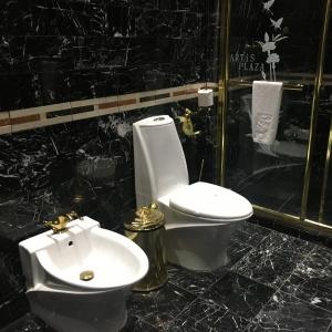 Hotel Artis Plaza