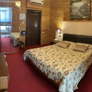 Hotel Zarechie