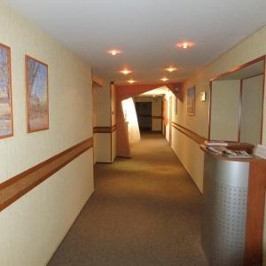 Hotel Suite