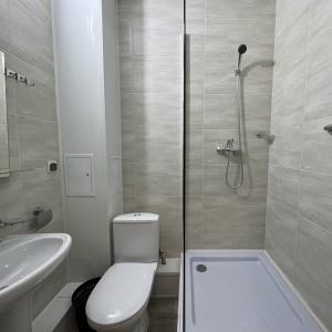 Гостиница Элиста на Ленина 241