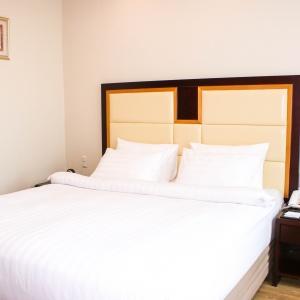 Mega Palace Hotel