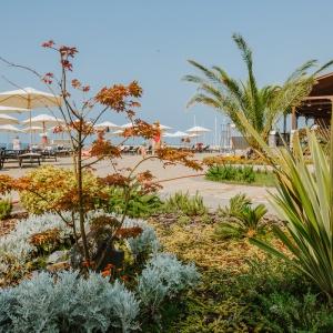 Hotel Swissotel Resort Sochi Kamelia
