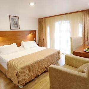 Hotel Areal Inn