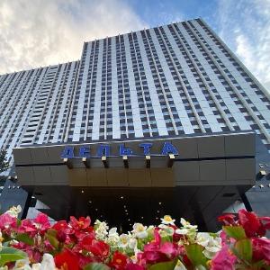 Hotel Izmailovo Delta