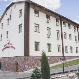 Vishnevaya Gora Park-Hotel