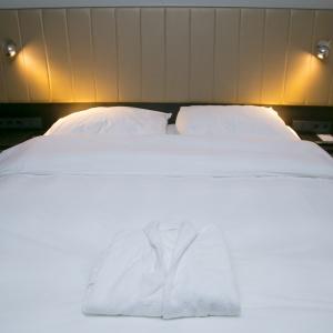 Hotel Demidov Plaza