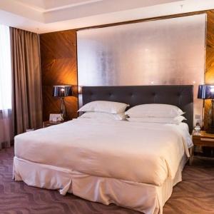Sheraton Plaza Ufa Congress Hotel