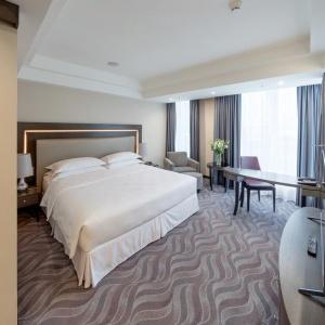 Sheraton Plaza Ufa Congress Hotel