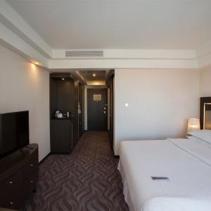 Sheraton Plaza Ufa Congress Hotel