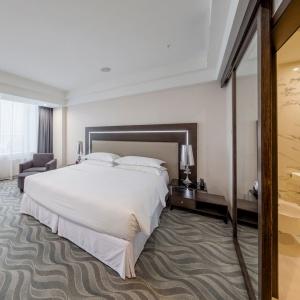 Sheraton Plaza Ufa Congress Hotel