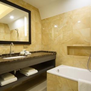 Hotel DoubleTree by Hilton Kazan City Center