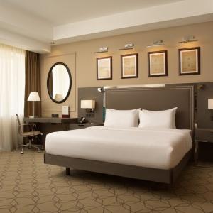 Hotel DoubleTree by Hilton Kazan City Center