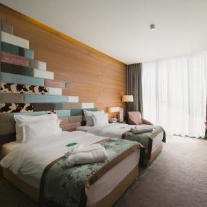 Hotel Mriya Resort and Spa