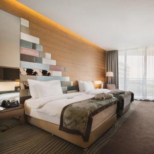 Hotel Mriya Resort and Spa