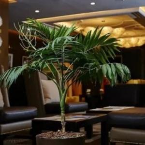 Art-Hotel