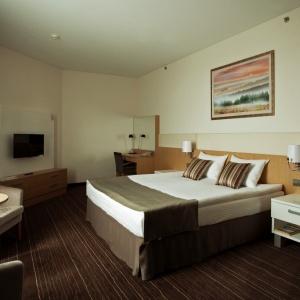 Hotel Victoria & SPA