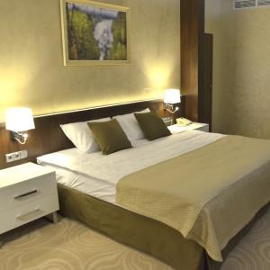 Hotel Victoria & SPA