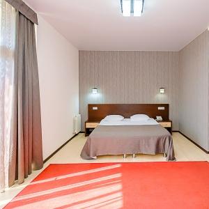 Hotel Avangard