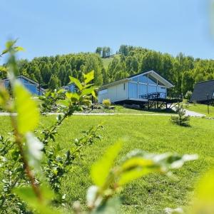 Hotel Altai Palace