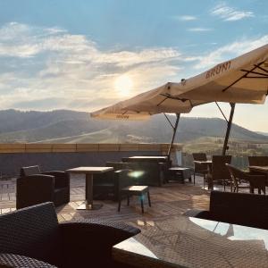 Hotel Altai Palace