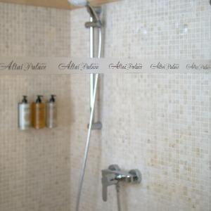 Hotel Altai Palace