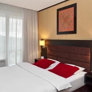 Hotel Altai Palace