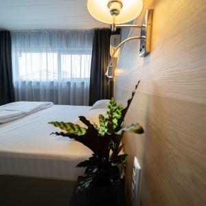 Profhotel