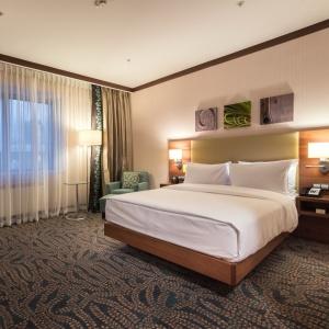 Hotel Hilton Garden Inn Astana