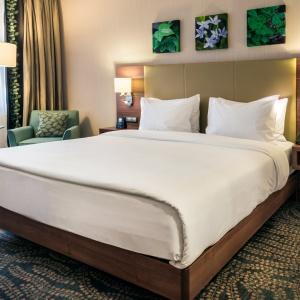 Hotel Hilton Garden Inn Astana