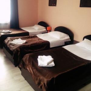 Accomodation facility Basilik Chaplygin