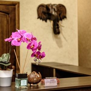 Hotel Asia