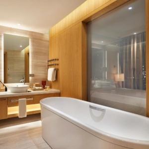 Hotel Hyatt Regency Tashkent
