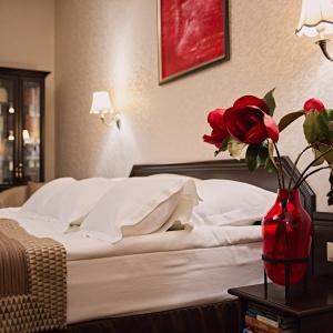 Hotel Graf Tolstoy