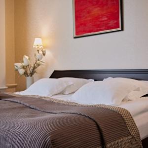 Hotel Graf Tolstoy