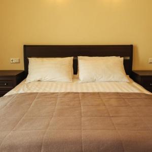Accomodation facility Adagio Renaissance on Nevsky Prospekt